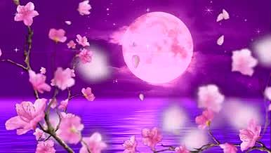 梅花花瓣飘落圆月戏曲中国视频素材视频的预览图